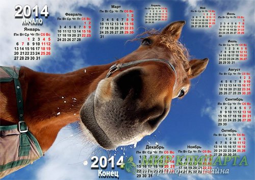 Настенный календарь - Со смешной лошадью 