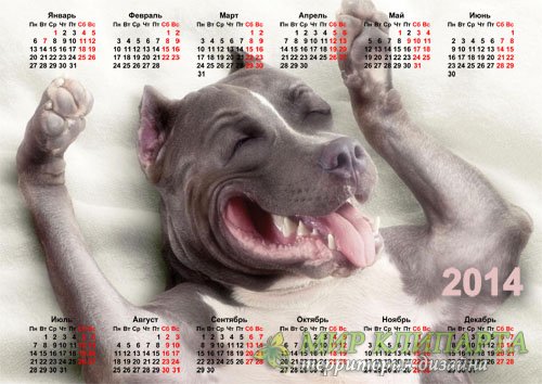 Календарь - Юморная собачка 