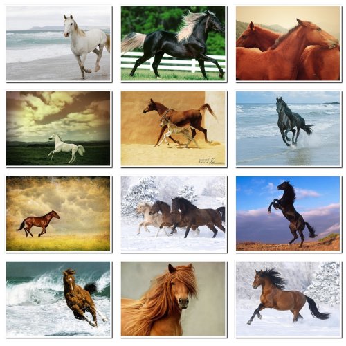 Лошадь – символ года, фотосток , 128 jpeg