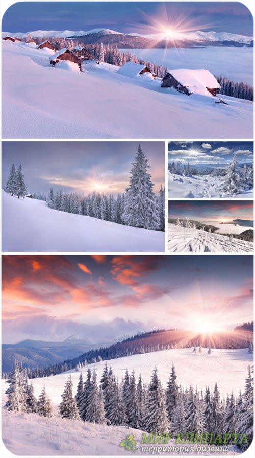 Зимние пейзажи, восход солнца, заснеженные елки - сток фото