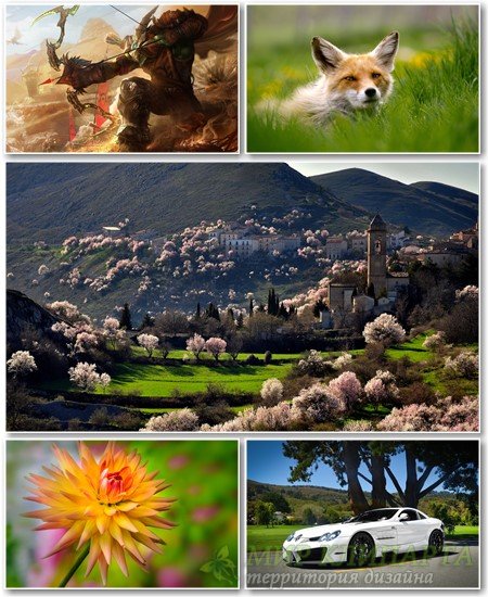 Best HD Wallpapers Pack №1129