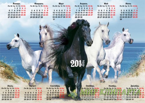  Настенный календарь - 5 красивых коней 
