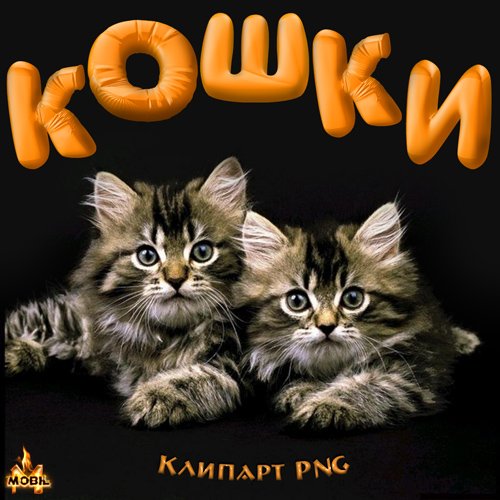 Клипарт PNG -  Кошки