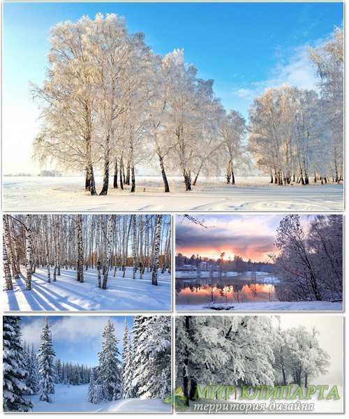 Подборка фото красивой зимней природы 4