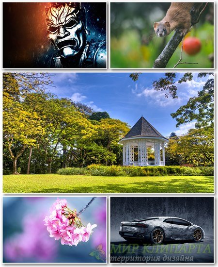 Best HD Wallpapers Pack №1137