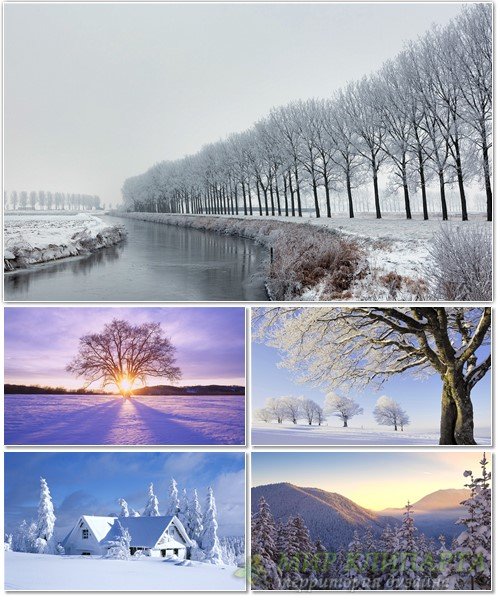 Подборка фото красивой зимней природы 7