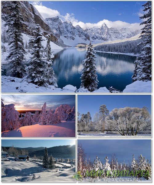 Подборка фото красивой зимней природы 8