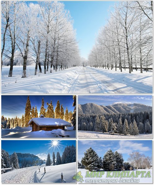 Подборка фото красивой зимней природы 9