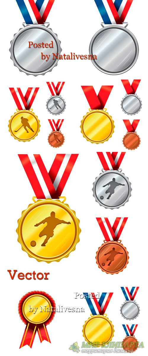 Медали, награды  в Векторе