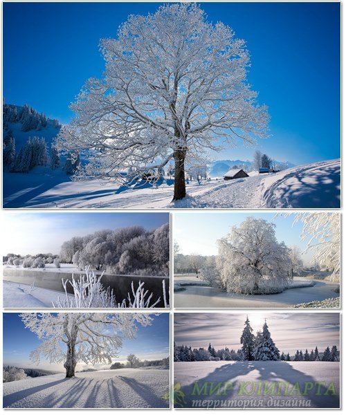 Подборка фото красивой зимней природы 10