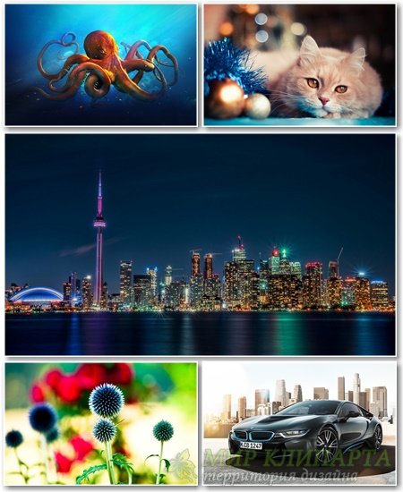 Best HD Wallpapers Pack №1142