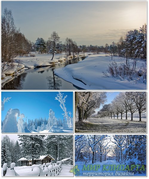 Подборка фото красивой зимней природы 11