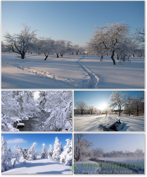 Подборка фото красивой зимней природы 12