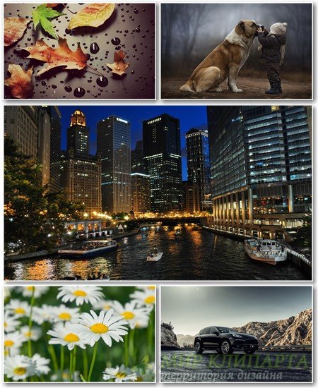 Best HD Wallpapers Pack №1145