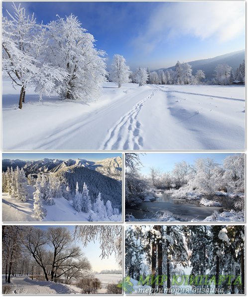 Подборка фото красивой зимней природы 15