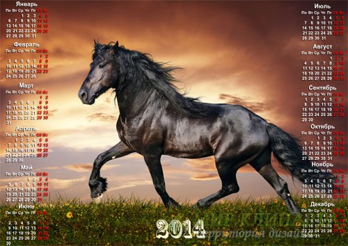  Настенный календарь - Скачущая черная лошадь на закате 