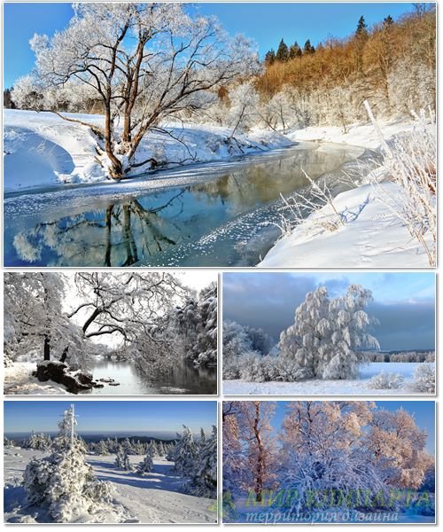 Подборка фото красивой зимней природы 17
