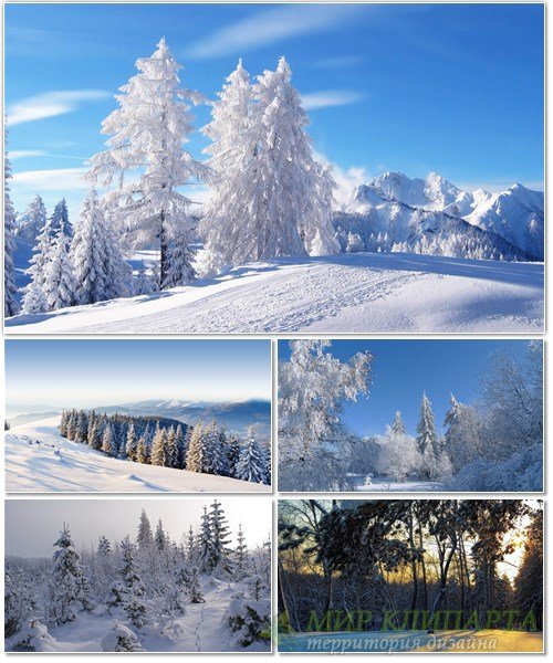 Подборка фото красивой зимней природы 18