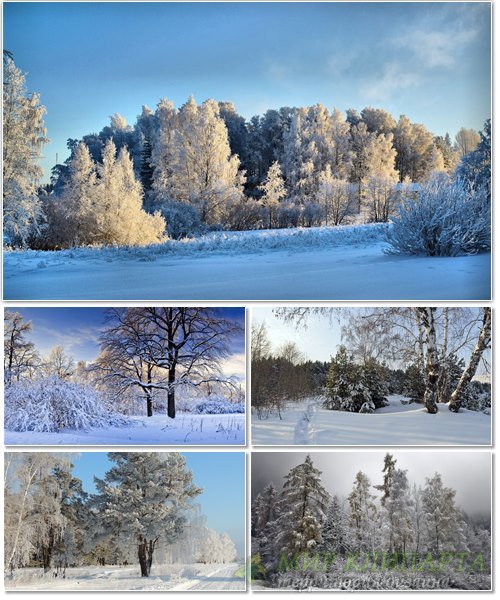 Подборка фото красивой зимней природы 19