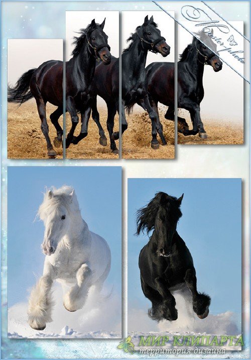 Полиптихи PSD - Породистые лошади