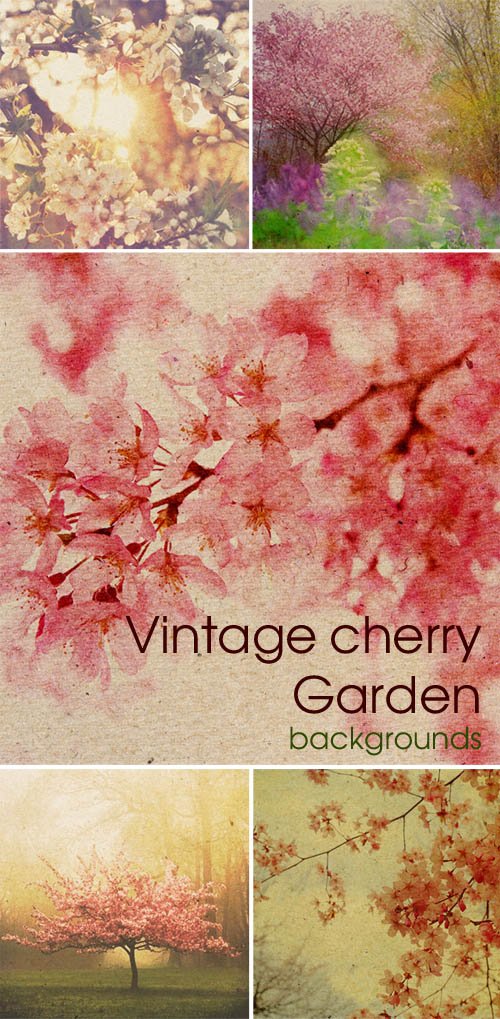 Vintage cherry Garden - backgrounds