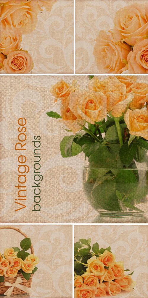 Vintage Rose - backgrounds