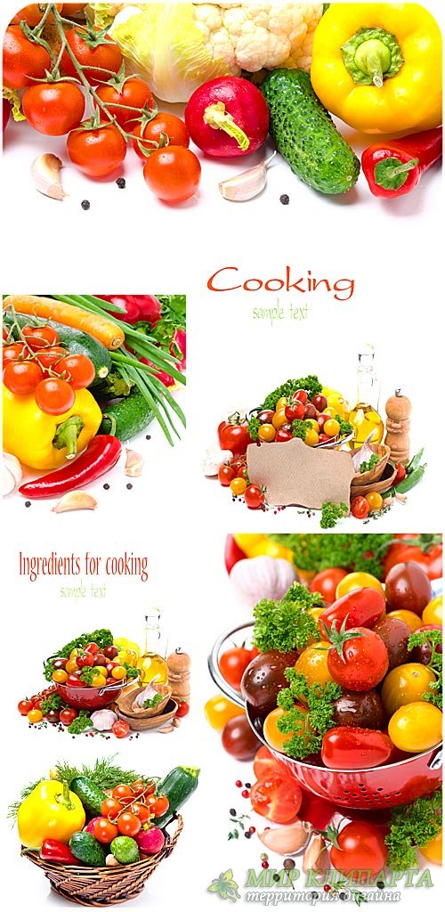 Продукты для приготовления, овощи - сток фото