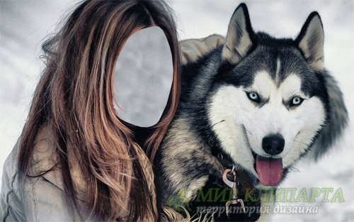 Шаблон psd - Любимые хаски Шаблон psd - Любимые хаски