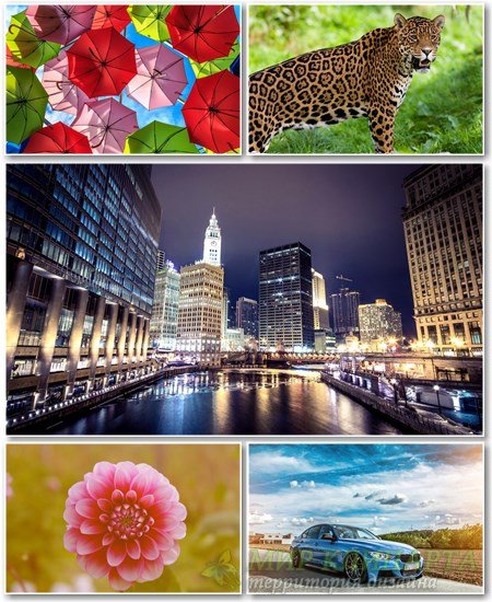 Best HD Wallpapers Pack №1176