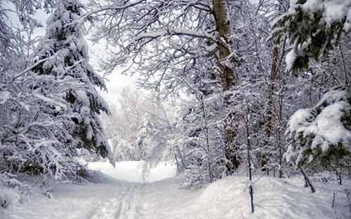 Необычные виды прелестной зимней дороги.