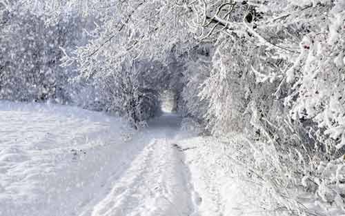 Необычные виды прелестной зимней дороги.