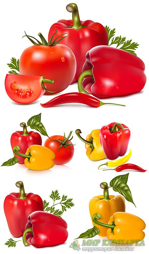 Перец, томаты в векторе