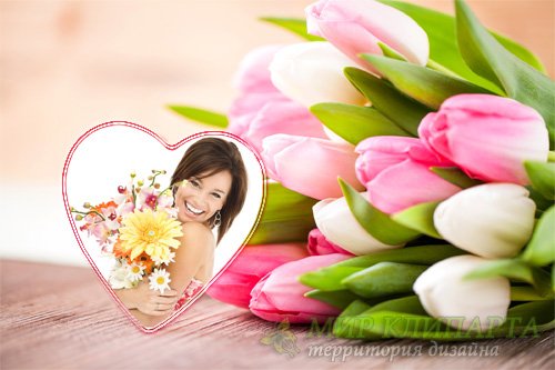  Рамка для фотошоп - Красивые тюльпаны 