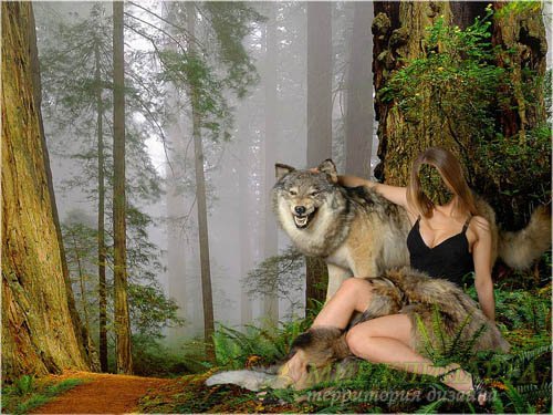  Шаблон для фотошопа - В лесу с волком 