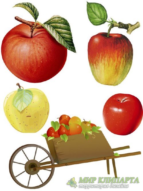 Яблоки нарисованные - фруктовый фотосток