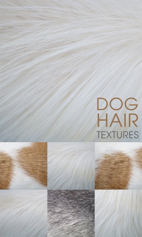 Dog hair textures