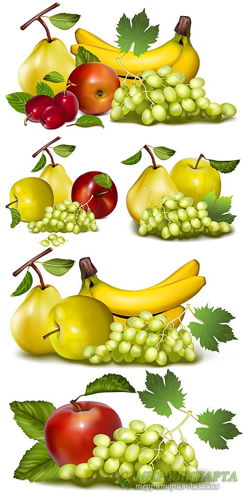 Виноград, бананы, яблоки и груши в векторе