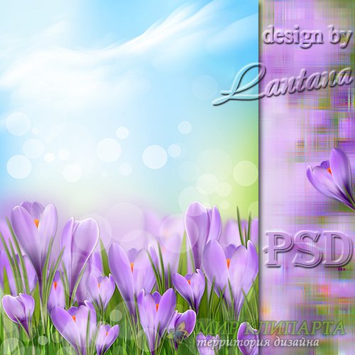 PSD исходник - Нежно-лиловый, застенчивый крокус 