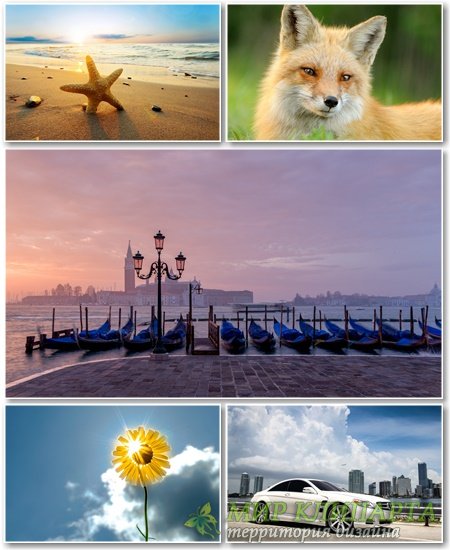 Best HD Wallpapers Pack №1185