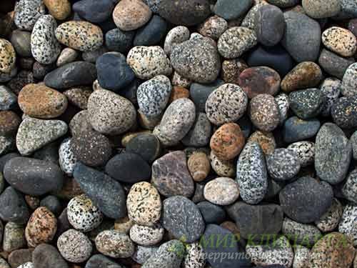  Разнообразный и поражающий мир камня