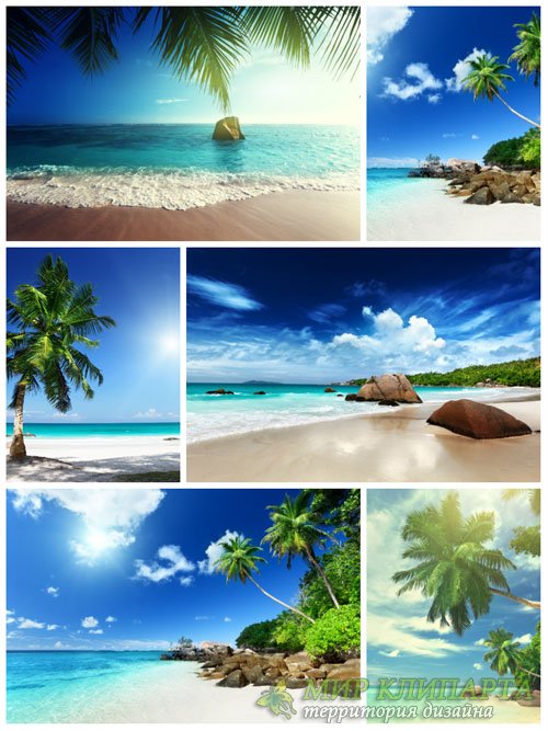 Морские пейзажи, море, пальмы - сток фото