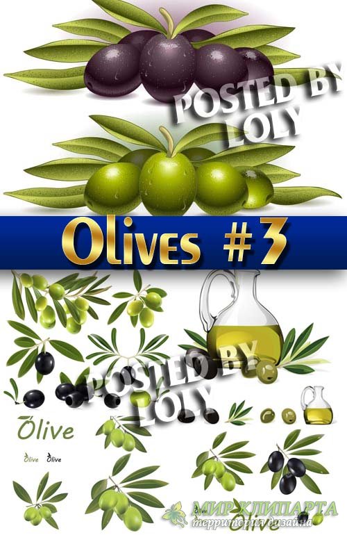 Векторные оливки #3 - Векторный клипарт