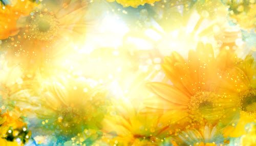Футаж фон-Цветы на солнце