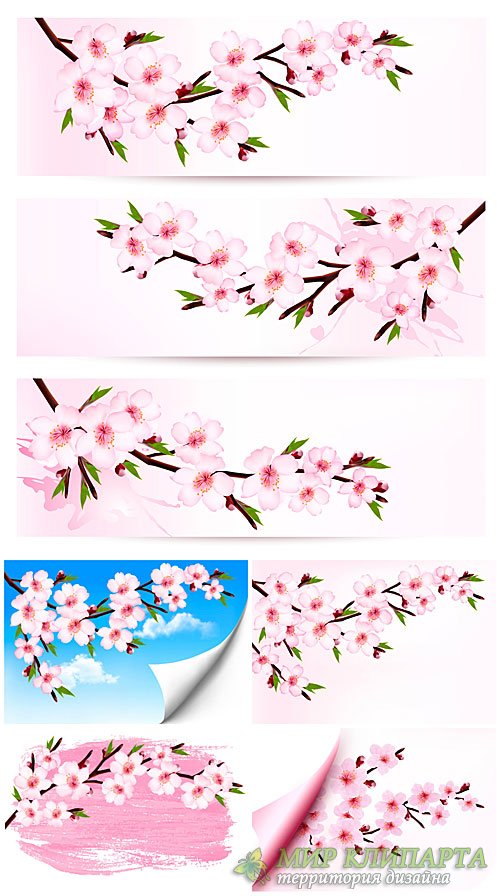 Весенние розовые цветы в векторе, цветущее дерево / Spring pink flowers