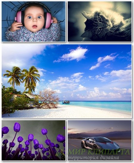 Best HD Wallpapers Pack №1211