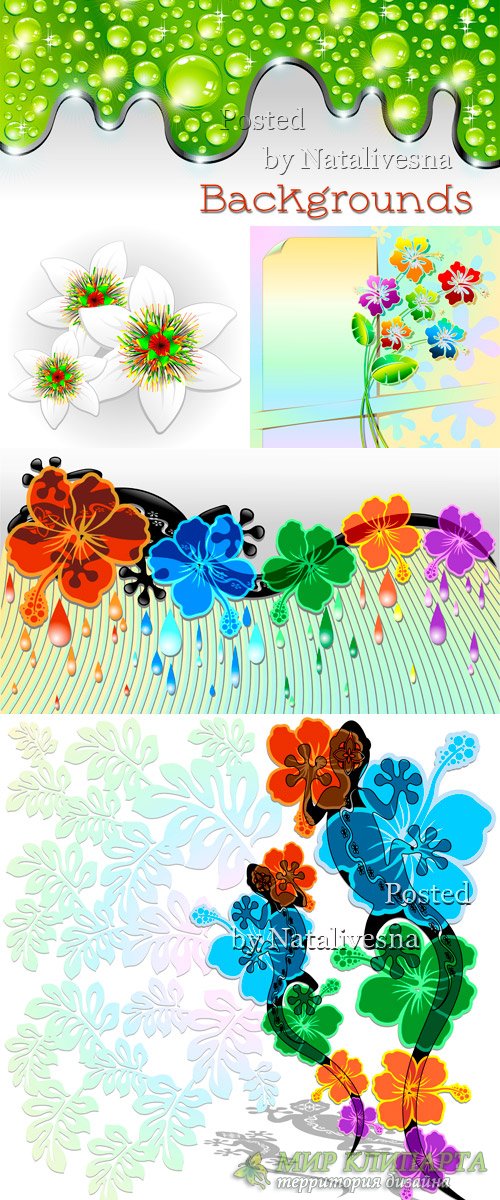 Фоны в Векторе с декоративными цветами и капельками 