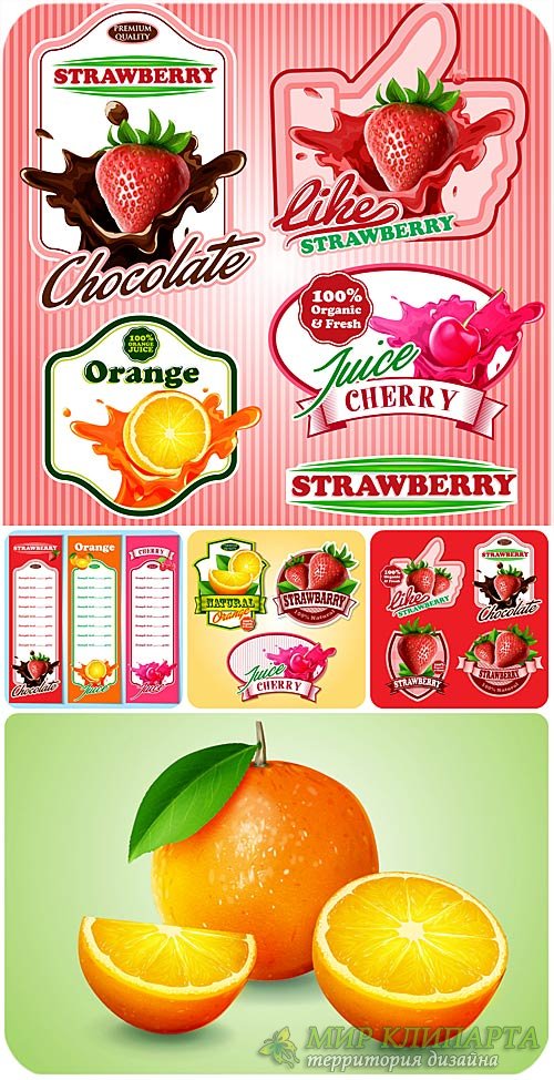 Этикетки с фруктами и ягодами, цитрус в векторе / Labels with fruits and berries, citrus vector