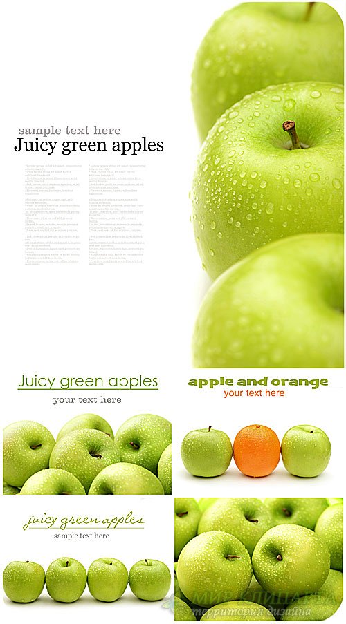 Свежие яблоки / Fresh apples - Stock photo
