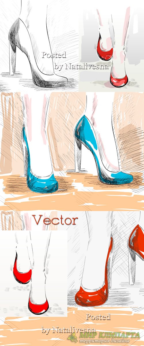 Женские туфельки  в Векторе