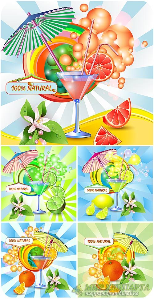 Коктейли в векторе, сок из цитруса / Cocktails in the vector of citrus juice